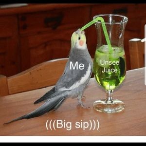 Meet your Posher, Henry